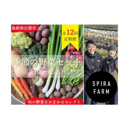 ふるさと納税 セット・詰合せ 島根県 出雲市 毎月お届け・全12回定期便 季節の野菜セット10〜12品目[栽培期間中 農薬・化学肥料不使用]出雲の畑から旬野菜…