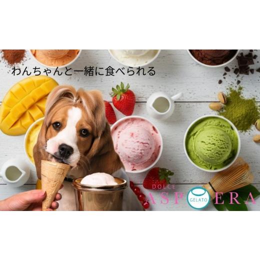ふるさと納税 アイス・ヨーグルト ジェラート 大阪府 泉佐野市 愛犬と一緒に楽しむ 贅沢 ジェラート 12個 セット 詰め合わせ 無添加 (季節のジェラート6個 &…
