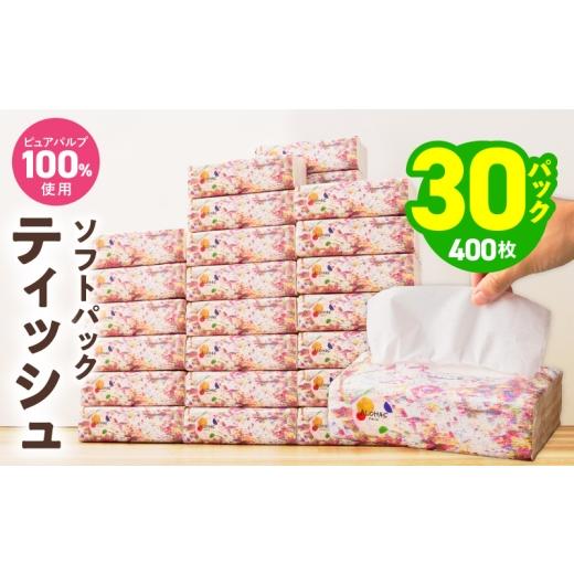 ふるさと納税 雑貨・日用品 大阪府 泉佐野市 ソフトパックティッシュ 30パック×400枚 200組 ピュアパルプ100% 高評価 人気急上昇 まとめ買い 日用品 常備品 …
