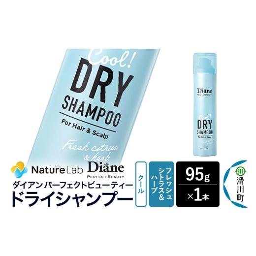 ふるさと納税 雑貨・日用品 埼玉県 滑川町 Diane ダイアン パーフェクトビューティー ドライシャンプー クール フレッシュシトラス&ハーブの香り 95g×1個 Di…