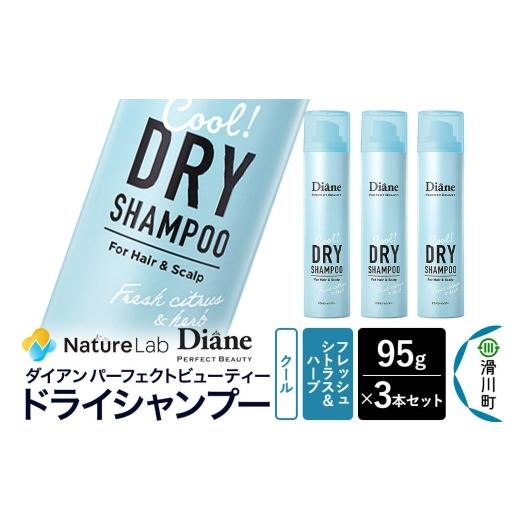 ふるさと納税 雑貨・日用品 埼玉県 滑川町 Diane ダイアン パーフェクトビューティー ドライシャンプー クール フレッシュシトラス&ハーブの香り 95g×3個セ…