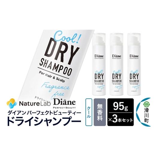 ふるさと納税 雑貨・日用品 埼玉県 滑川町 Diane ダイアン パーフェクトビューティー ドライシャンプー クール 無香料 95g×3個セット Diane ダイアン ドライ…