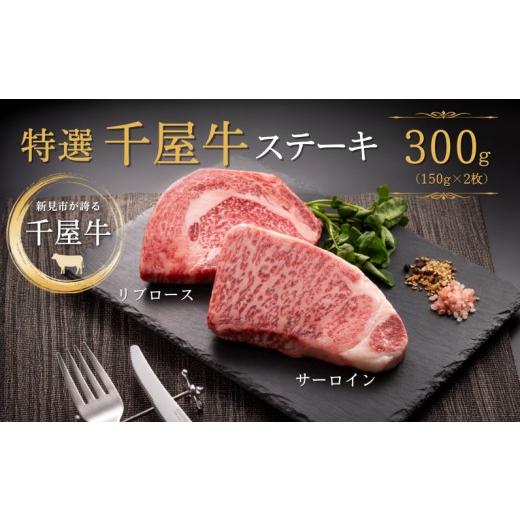 ふるさと納税 牛肉 ステーキ 岡山県 新見市 特選千屋牛 ステーキ 300g(サーロイン150g リブロース150g) ステーキ300g2枚