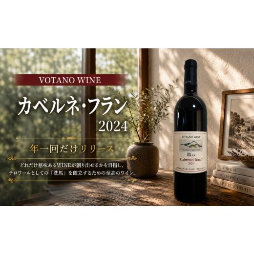 ふるさと納税 ワイン 赤ワイン 長野県 塩尻市 チョイス限定 長野県塩尻産ワイン 株式会社VOTANO WINE カベルネ・フラン 2024 | ワイン わいん チョイス限定 …