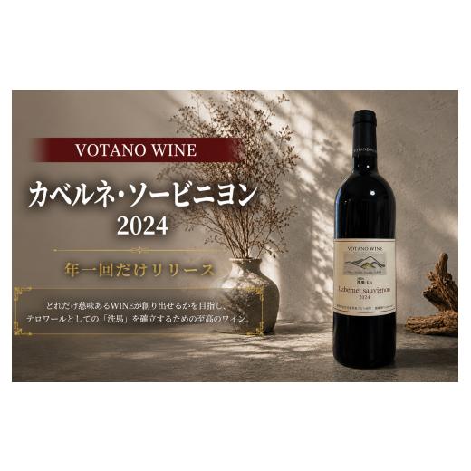 ふるさと納税 ワイン 赤ワイン 長野県 塩尻市 チョイス限定 長野県塩尻産ワイン 株式会社VOTANO WINE カベルネ・ソービニヨン 2024 | ワイン わいん チョイ…