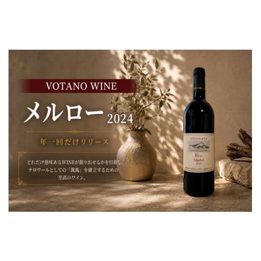 ふるさと納税 ワイン 赤ワイン 長野県 塩尻市 チョイス限定 長野県塩尻産ワイン 株式会社VOTANO WINE メルロー 2024 | ワイン わいん チョイス限定 赤ワイン…