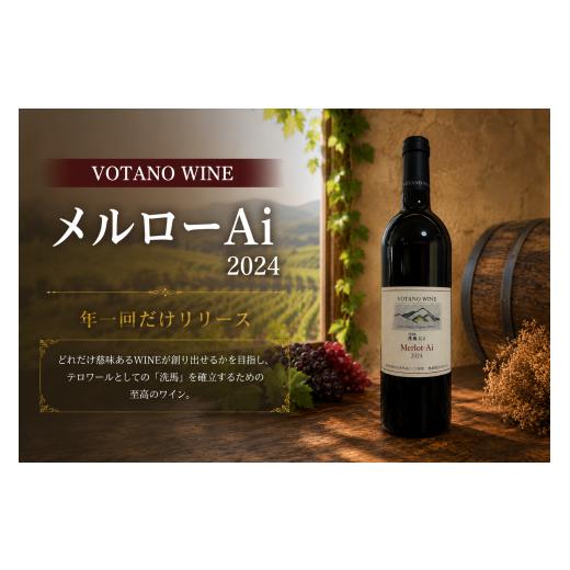 ふるさと納税 ワイン 赤ワイン 長野県 塩尻市 チョイス限定 長野県塩尻産ワイン 株式会社VOTANO WINE メルローAi 2024 | ワイン わいん チョイス限定 赤ワイ…