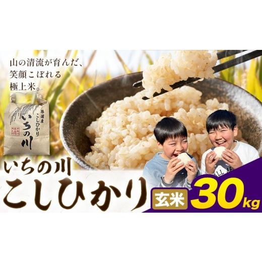ふるさと納税 米 コシヒカリ 千葉県 勝浦市 米 こめ コメ 令和7年産 いちの川 コシヒカリ 玄米 30kg 市野川米製作所 [30日以内に出荷予定(土日祝除く)]米 ご…