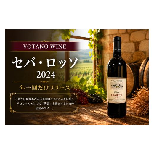ふるさと納税 ワイン 赤ワイン 長野県 塩尻市 チョイス限定 長野県塩尻産ワイン 株式会社VOTANO WINE セバ・ロッソ 2024 | ワイン わいん チョイス限定 赤ワ…