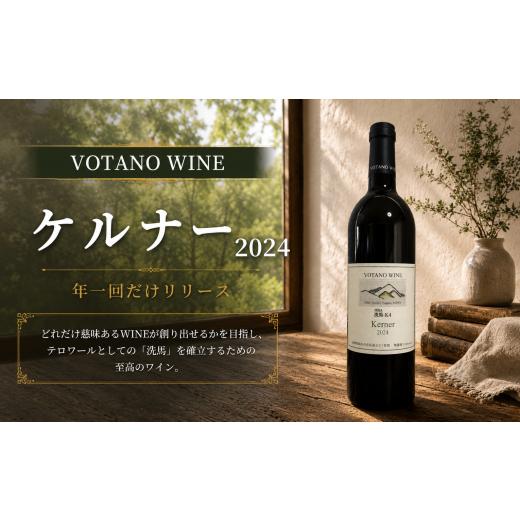 ふるさと納税 ワイン 長野県 塩尻市 チョイス限定 長野県塩尻産ワイン 株式会社VOTANO WINE ケルナー 2024 | ワイン わいん チョイス限定 オレンジワイン オ…