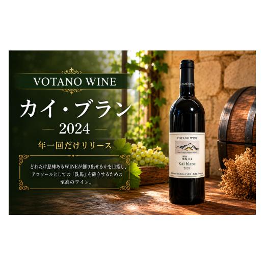 ふるさと納税 ワイン 白ワイン 長野県 塩尻市 チョイス限定 長野県塩尻産ワイン 株式会社VOTANO WINE カイ・ブラン 2024 | ワイン わいん チョイス限定 白ワ…