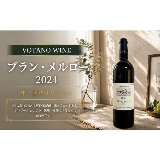 ふるさと納税 ワイン 白ワイン 長野県 塩尻市 チョイス限定 長野県塩尻産ワイン 株式会社VOTANO WINE ブラン・メルロー 2024 | ワイン わいん チョイス限定 …
