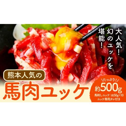 ふるさと納税 馬肉 熊本県 津奈木町 馬刺し 熊本 人気の 馬肉ユッケ たっぷり 500g 株式会社利他フーズ[60日以内に出荷予定(土日祝除く)] ユッケ 海外産 国…