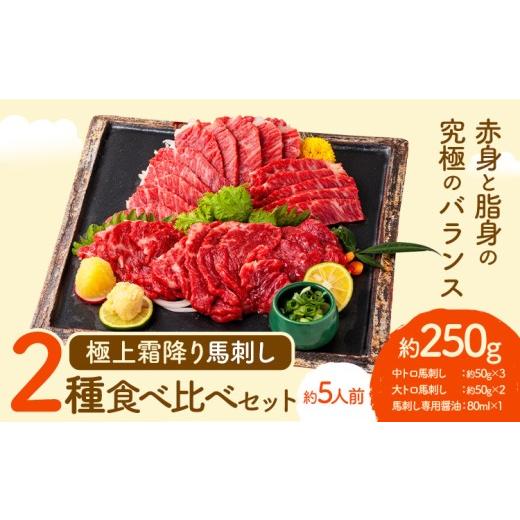 ふるさと納税 馬肉 熊本県 津奈木町 馬刺し 極上 霜降り 2種 食べ比べ セット 株式会社利他フーズ[60日以内に出荷予定(土日祝除く)] 中トロ 大トロ 国産 冷…