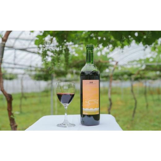 ふるさと納税 ワイン 赤ワイン 鳥取県 北栄町 310農園・日本ワイン(小公子/赤ワイン)750ml