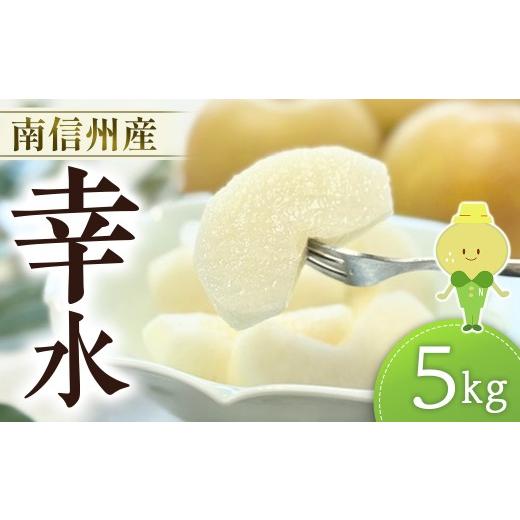 ふるさと納税 梨 長野県 豊丘村 梨 幸水 約 5kg(12〜16玉) 8月中旬発送開始予定 なし ナシ 5キロ 旬の梨 和梨 果物 フルーツ くだもの 長野県 南信州