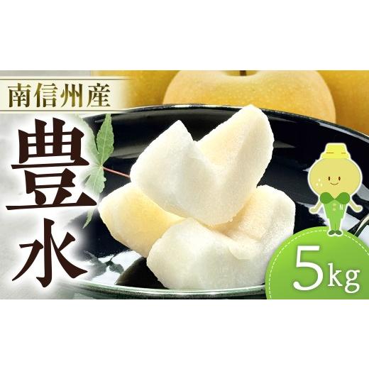 ふるさと納税 梨 長野県 豊丘村 梨 豊水 約 5kg(12〜16玉) 9月上旬発送開始予定 なし ナシ 5キロ 旬の梨 和梨 果物 フルーツ くだもの 長野県 南信州