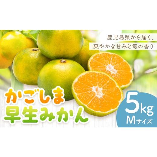 ふるさと納税 果物類 みかん 鹿児島県 さつま町 かごしま早生みかん M 5kg 田野農園[10月中旬-1月中旬頃出荷]鹿児島県 さつま町 早生 みかん 蜜柑 柑橘 果物…