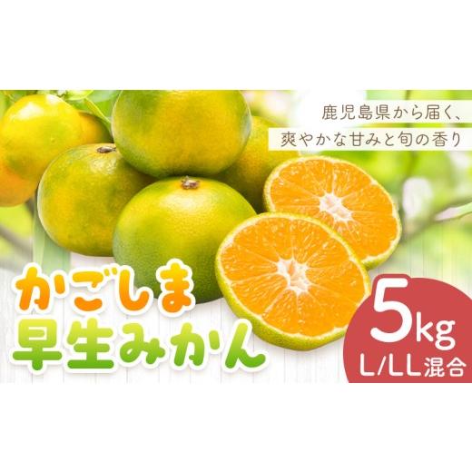 ふるさと納税 果物類 みかん 鹿児島県 さつま町 かごしま早生みかん L LL サイズ混合 5kg 田野農園[10月中旬-1月中旬頃出荷]鹿児島県 さつま町 早生 みかん …