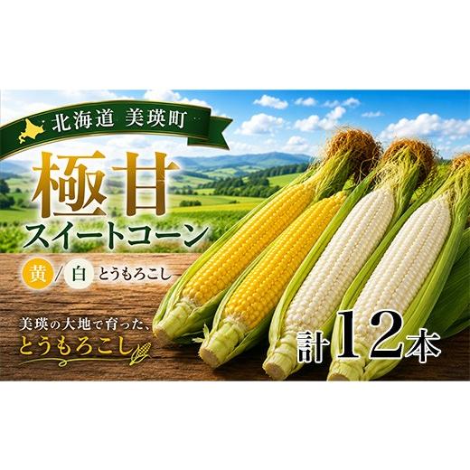 ふるさと納税 とうもろこし 北海道 美瑛町 先行予約 北海道 とうもろこし 12本 イエローコーン&ホワイトコーン 各6本 令和8年産 おおとり|スイートコーン …