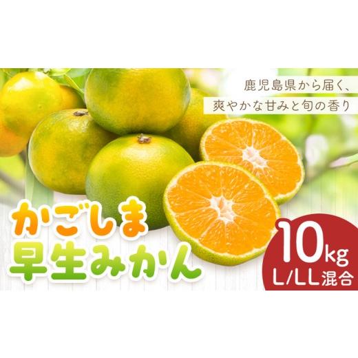 ふるさと納税 果物類 みかん 鹿児島県 さつま町 かごしま早生みかん L LL サイズ混合 10kg 田野農園[10月中旬-1月中旬頃出荷]鹿児島県 さつま町 早生 みかん…