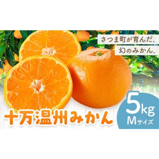 ふるさと納税 果物類 みかん 鹿児島県 さつま町 十万温州みかん 選べる M 5kg 田野農園[12月中旬-3月中旬頃出荷]鹿児島県 さつま町 みかん 蜜柑 柑橘 果物 …