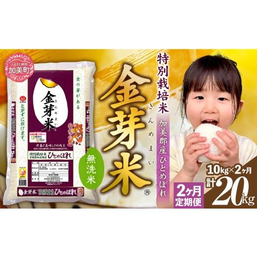 ふるさと納税 無洗米 宮城県 加美町 新米予約 金芽米 定期便 無洗米 10kg (5kg×2袋)× 2ヶ月 計 20kg 令和8年 米 特別栽培米 ひとめぼれ 宮城県 加美産 BG無…
