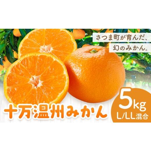 ふるさと納税 果物類 みかん 鹿児島県 さつま町 十万温州みかん 選べる L/LL混合 5kg 田野農園[12月中旬-3月中旬頃出荷]鹿児島県 さつま町 みかん 蜜柑 柑…