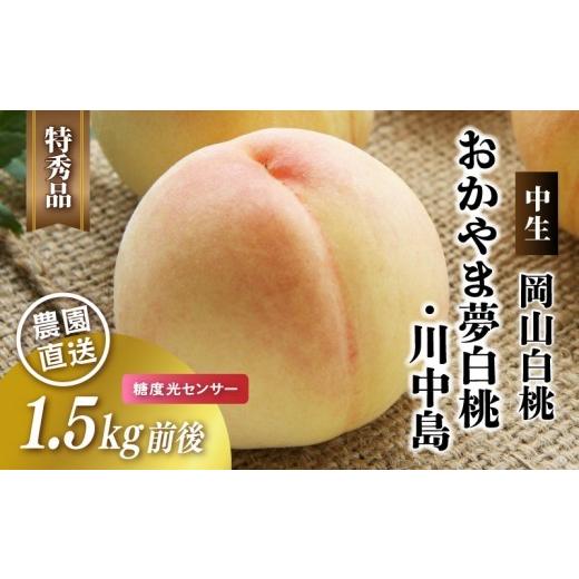 ふるさと納税 もも 岡山県 真庭市 岡山白桃 (中生/おかやま夢白桃・川中島)特秀品 1.5kg前後 4〜6玉 momo46 / 白桃 贈答 お中元 ギフト 産直 高級 フルー…