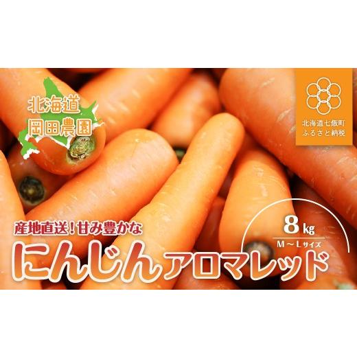 ふるさと納税 野菜類 人参 北海道 七飯町 先行予約 北海道七飯町産にんじん「アロマレッド8kg」(M〜L) ふるさと納税 人気 おすすめ ランキング にんじん 人…