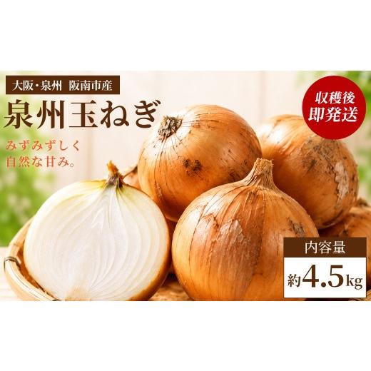 ふるさと納税 野菜類 玉ねぎ 大阪府 阪南市 味にこだわった新玉ねぎ はたなかさんちの泉州玉ねぎ4.5Kg 泉州玉ねぎ4.5Kg(家庭用サイズ)