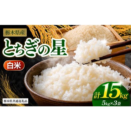 ふるさと納税 米 栃木県 那珂川町 先行予約 とちぎの星(白米)約 15kg 栃木県共通返礼品|とちぎの星 米 白米 おいしい お米 こめ おこめ 白米 精米 国産 ご…