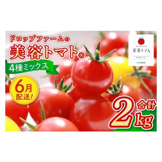 ふるさと納税 トマト ミニトマト 茨城県 水戸市 6月発送 ドロップファームの美容トマト おまかせ2kg箱(4種ミックス) とまと フルーツトマト 野菜ソムリエ 朝…