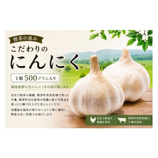 ふるさと納税 野菜類 北海道 標茶町 先行予約・2026年9月発送 標茶の恵み こだわりのにんにく 1箱500グラム入り(Mサイズ約8〜10個)