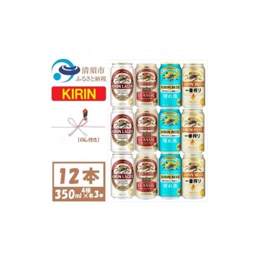 ふるさと納税 ビール 愛知県 清須市 のし付 キリン ビール 4種12本 飲み比べ 350ml×12本 1755740