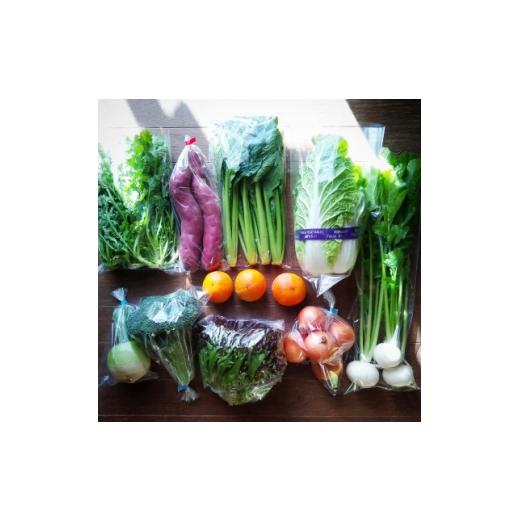 ふるさと納税 野菜類 大阪府 豊能町 おまかせ野菜セット(2026年7月上旬〜発送予定) 1749867