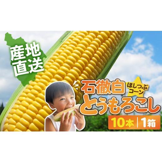 ふるさと納税 とうもろこし 岐阜県 郡上市 チョイス限定 [数量限定・期間限定]いとしろトウモロコシ 10本入 1箱 とうもろこし 大粒 甘い おいしい ほしつぶ…
