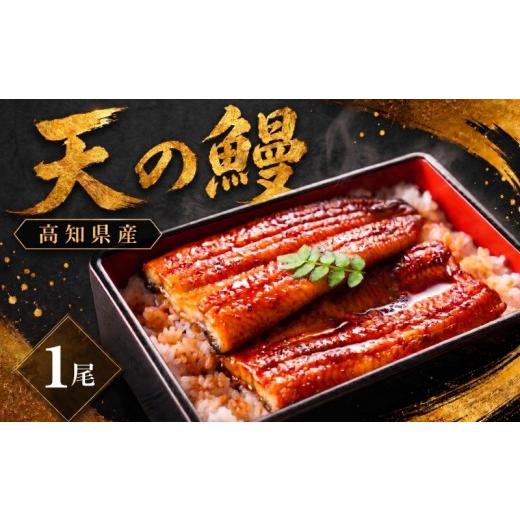 ふるさと納税 魚貝類 高知県 南国市 鰻 蒲焼 1尾 セット | 土佐料理司 うなぎ ウナギ 蒲焼き かばやき 丼 おすすめ 丑の日 贈答用 父の日 母の日 内祝い 出産…