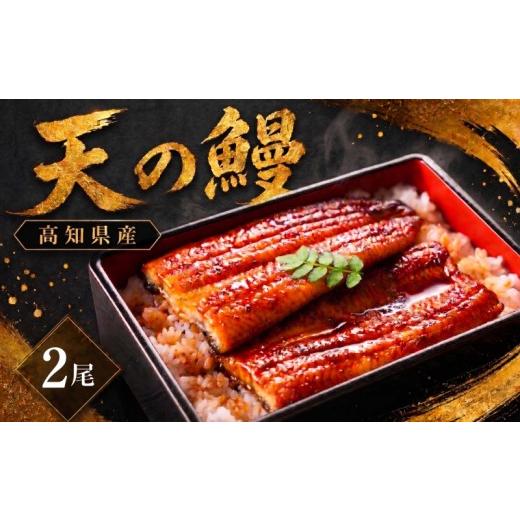 ふるさと納税 魚貝類 高知県 南国市 鰻 蒲焼 2尾 セット | 土佐料理司 うなぎ ウナギ 蒲焼き かばやき 丼 おすすめ 丑の日 贈答用 父の日 母の日 内祝い 出産…