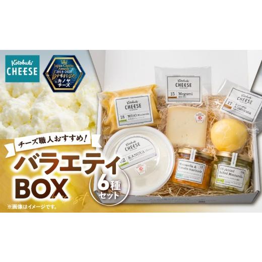 ふるさと納税 加工品等 チーズ 鹿児島県 鹿屋市 1216 バラエティBOX6種類 チーズ職人おすすめ 10月出荷 KN087-003-10 10月出荷