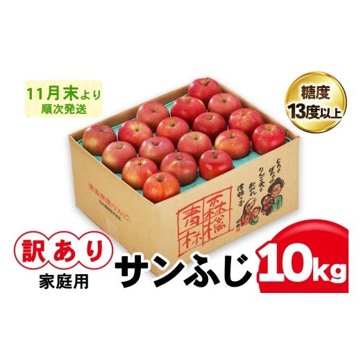 ふるさと納税 りんご 青森県 つがる市 訳あり りんご サンふじ 10kg (28玉から40玉入り 10kg 1箱) 見た目にわけあり 味はそのまま|令和8年産 2026年産 青森 …