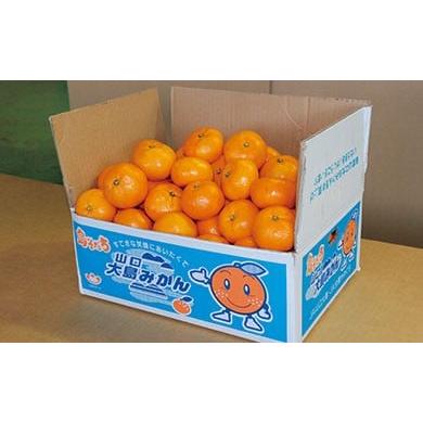 ふるさと納税 果物類 みかん 山口県 周防大島町 山口大島みかん(島そだち)早生