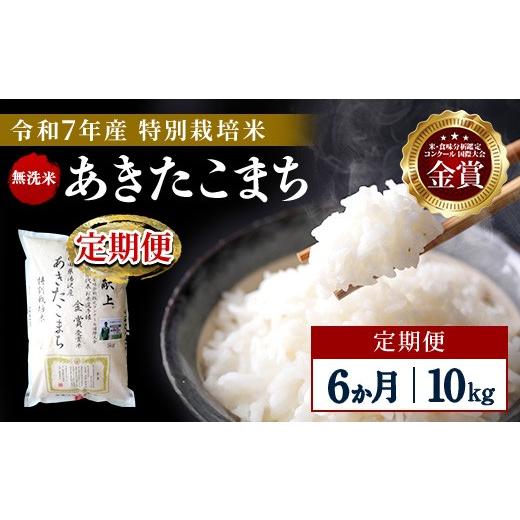 ふるさと納税 米 あきたこまち 秋田県 湯沢市 定期便6ヶ月 令和7年産 特別栽培米 あきたこまち 無洗米 10kg 渡部 浩見