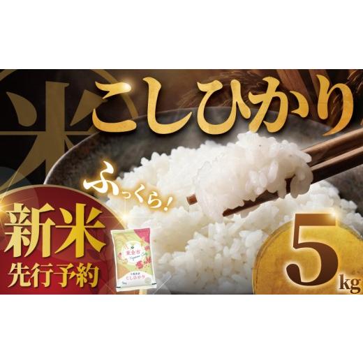 ふるさと納税 米 コシヒカリ 千葉県 東金市 新米 R8年度産 2026年9月以降発送 コシヒカリ 5kg 米 お米 ブランド米 国産 美味しいお米 食味 白飯 飯 ご飯5kg …