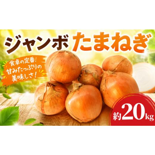 ふるさと納税 野菜類 玉ねぎ 茨城県 鉾田市 玉ねぎ 約 20kg ジャンボ たまねぎ タマネギ 玉葱 オニオン 大玉 国産 野菜 やさい 旬 みずみずしい サラダ カレー…