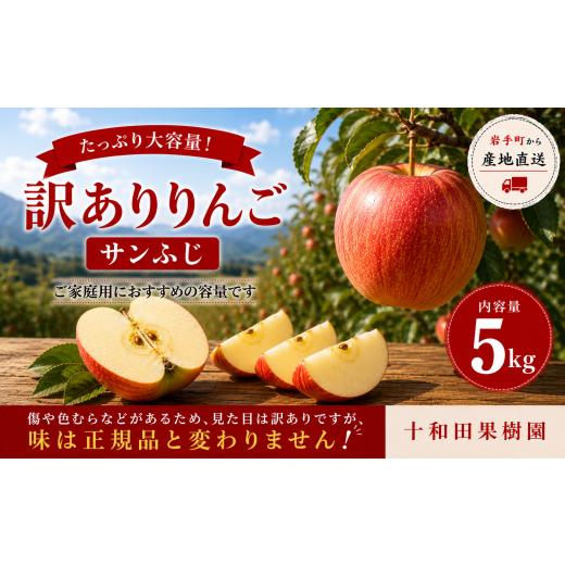 ふるさと納税 りんご 岩手県 岩手町 先行予約 訳あり 岩手町産サンふじ約5kg 令和8年産 訳アリ 家庭用 規格外 不揃い りんご リンゴ サンふじ 5kg フルーツ …