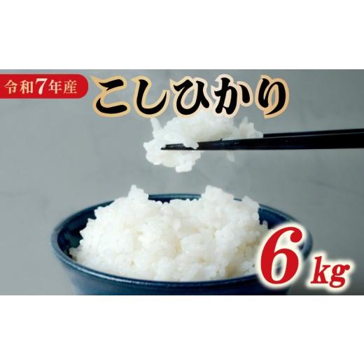 ふるさと納税 米 コシヒカリ 千葉県 旭市 令和7年産 米 コシヒカリ 6kg 精米 白米 6kg 7年産 お米 おこめ ご飯 ごはん こめ コメ kome ライス らいす こしひか…