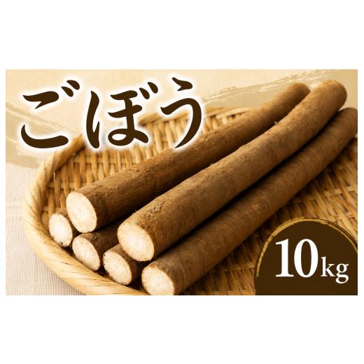 ふるさと納税 人参・大根・他根菜 千葉県 旭市 先行予約 ごぼう 約10kg ゴボウ 牛蒡 野菜 冬野菜 根菜 やさい 10000円 一万円 きんぴらごぼう きんぴら 筑前…