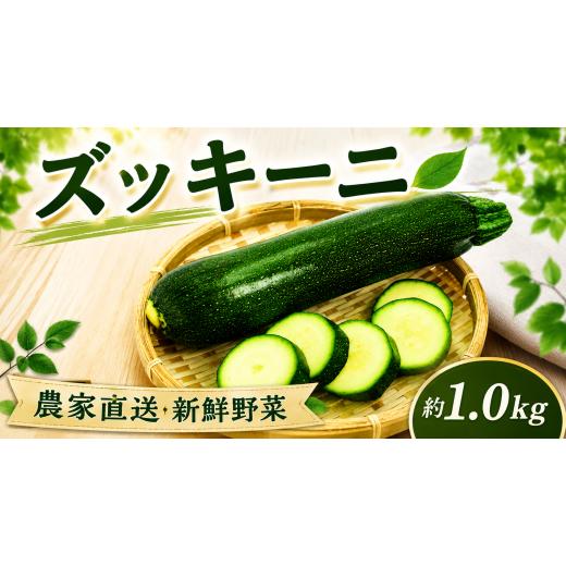 ふるさと納税 野菜類 千葉県 旭市 先行予約 ズッキーニ 約1kg以上 ズッキーニ ずっきーに 野菜 夏野菜 やさい ヤサイ ベジタブル vegetable ラタトゥイユ 煮…