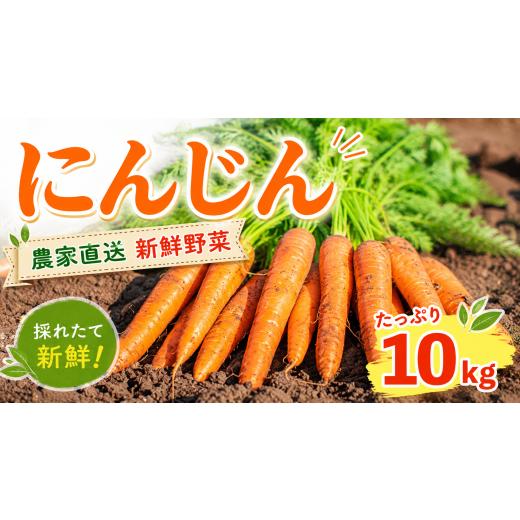 ふるさと納税 野菜類 人参 千葉県 旭市 先行予約 にんじん 約10kg 人参 キャロット carrot 野菜 根菜 緑黄色野菜 やさい ヤサイ サラダ カレー 惣菜 ごはん …